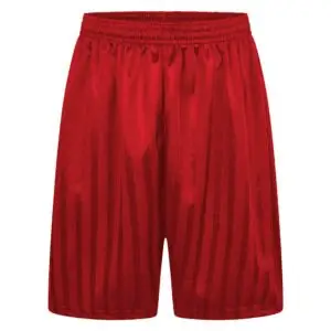 St Michaels P.E Shorts