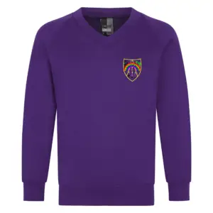 Lanesfield V Neck Sweatshirt