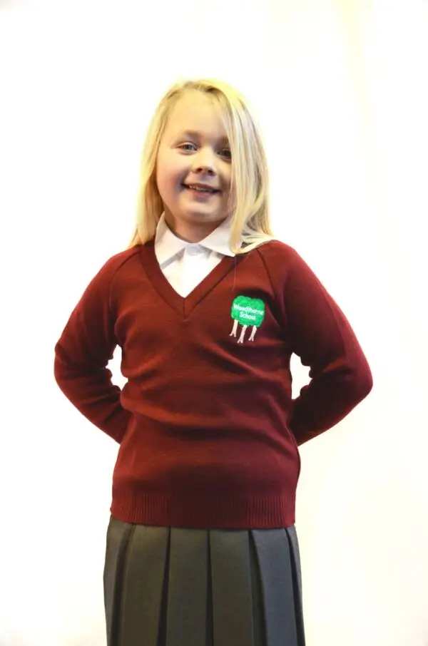 Woodthorne Knitted V Neck - Image 4