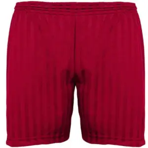 St Chad's P.E Shadow Stripe Short