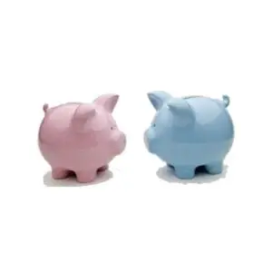 Savings Club