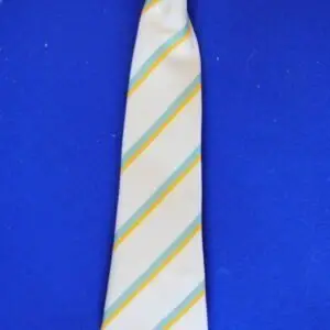 Barrow School Clip On Ties