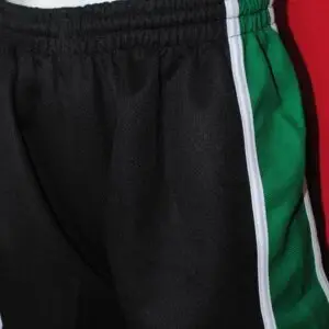 Idsall PE Shorts