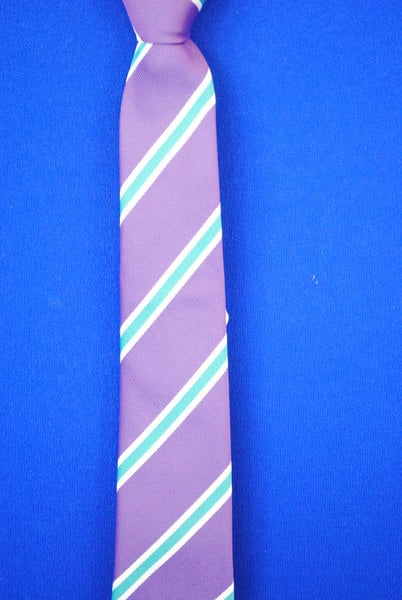 Oldbury Wells Lower School Tie | Shop Online | Lads & Lasses Schoolwear