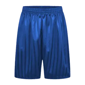 P.E. Shorts - Royal Blue