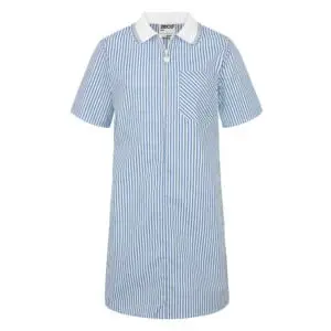 A-Line Striped Eco-Dress