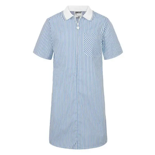 A-Line Striped Eco-Dress