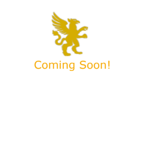 Birchfield Unisex P.E Polo